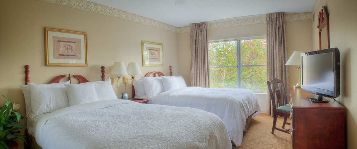 Homewood Suites By Hilton Charlotte Airport Kamer foto